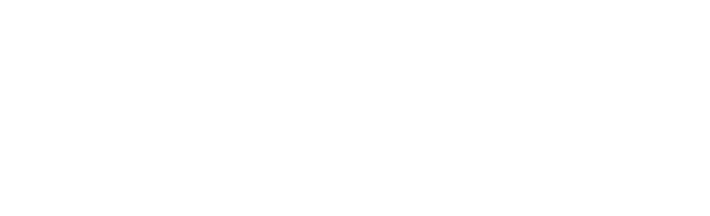 Zelfo Detailing Logo